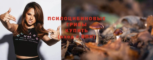 соль ск Абинск